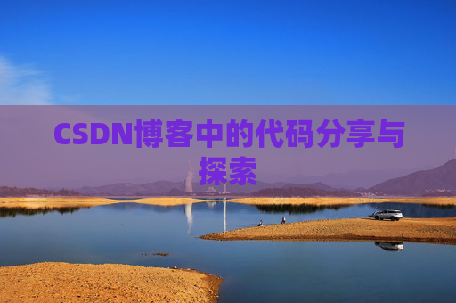 CSDN博客中的代码分享与探索
